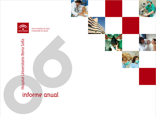 Informe anual 2006